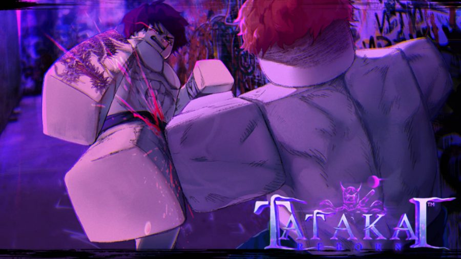 Codes de renaissance de Tatakai 2 Deux personnages de Tatakai Reborn combattant et bloquant
